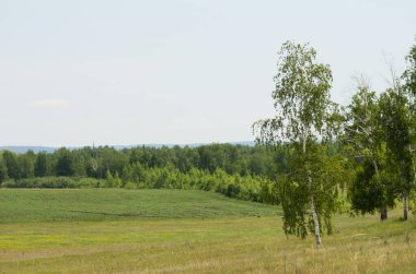 Doğa çayır güzelliği doğal arka plan ormanı sisler sabah ufku tepeler kayar tarla çiçekleri yollar gökyüzü yaz güneşi