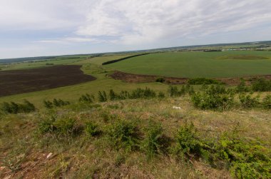 Doğa çayır güzelliği doğal arka plan ormanı sisler sabah ufku tepeler kayar tarla çiçekleri yollar gökyüzü yaz güneşi