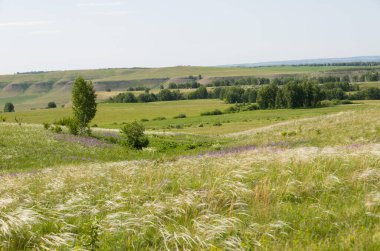 Doğa çayır güzelliği doğal arka plan ormanı sisler sabah ufku tepeler kayar tarla çiçekleri yollar gökyüzü yaz güneşi