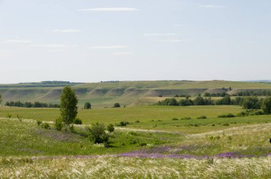 Doğa çayır güzelliği doğal arka plan ormanı sisler sabah ufku tepeler kayar tarla çiçekleri yollar gökyüzü yaz güneşi
