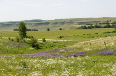 Doğa çayır güzelliği doğal arka plan ormanı sisler sabah ufku tepeler kayar tarla çiçekleri yollar gökyüzü yaz güneşi