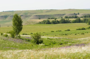 Doğa çayır güzelliği doğal arka plan ormanı sisler sabah ufku tepeler kayar tarla çiçekleri yollar gökyüzü yaz güneşi
