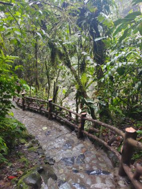 Ekvador 'un Baos şehrindeki Pailon del Diablo yolu.