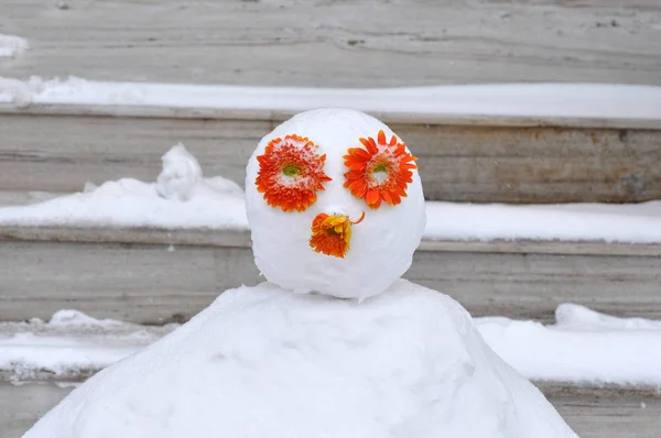Schneemann mit Blumen — Stockfoto