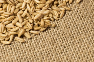 Çuval bezi arka plan ile organik yulaf