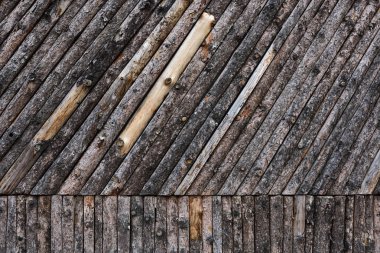 Koyu kahverengi arkaplan ile doğal orman arka planı