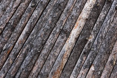 Soyulmuş kabuk, doku doğa ile ormanda duvar.