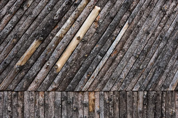 Koyu kahverengi arkaplan ile doğal orman arka planı