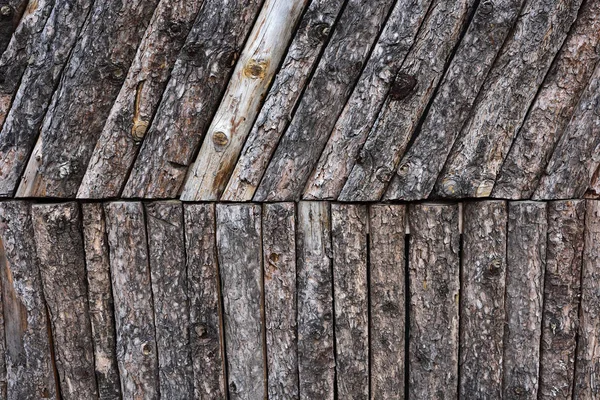 Koyu kahverengi arkaplan ile doğal orman arka planı