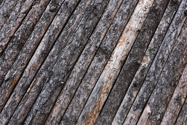 Soyulmuş kabuk, doku doğa ile ormanda duvar.