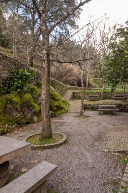 Forest park için rahatlamak için