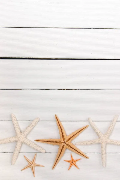 Stelle marine su legno bianco — Foto Stock