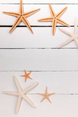 Beyaz ahşap üzerine starfishes