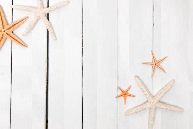 Beyaz ahşap üzerine starfishes