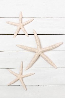 Bir beyaz beyaz starfishes