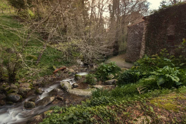 Zdravá Lesní řeka — Stock fotografie