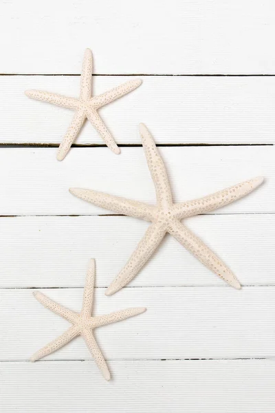 White starfishes on a white — Stock Photo, Image