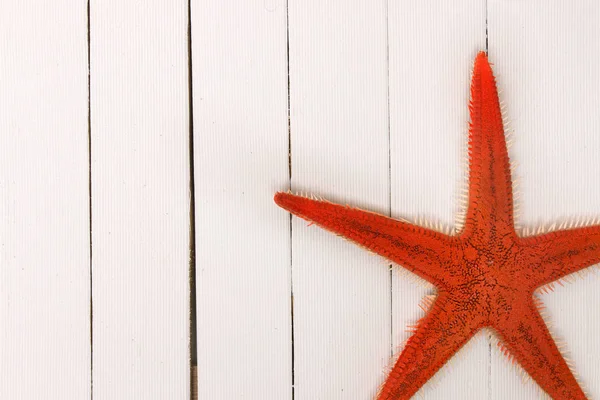 Starfish on white wood — Stock Photo, Image