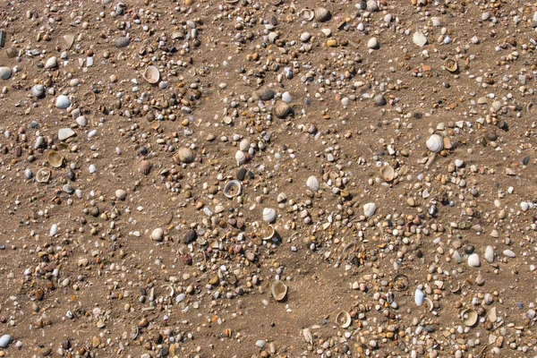 Textura de arena en la playa — Foto de Stock