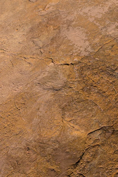 Сліди динозаврів на камені — стокове фото