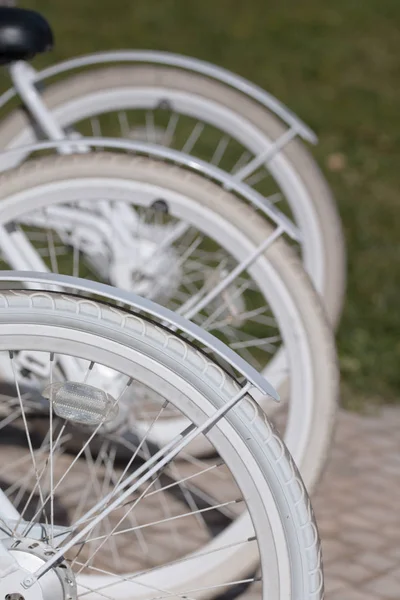 Nice looking white bicycles — Stock Photo, Image