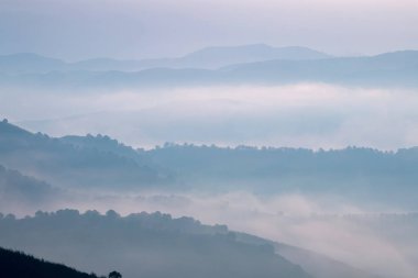 Sabahları puslu hills