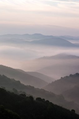 Sabahları puslu hills