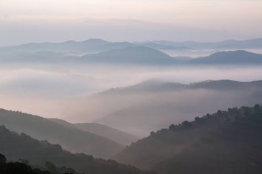 Sabahları puslu hills