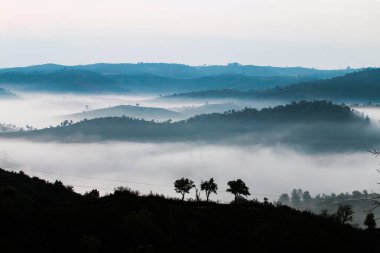 Sabahları puslu hills