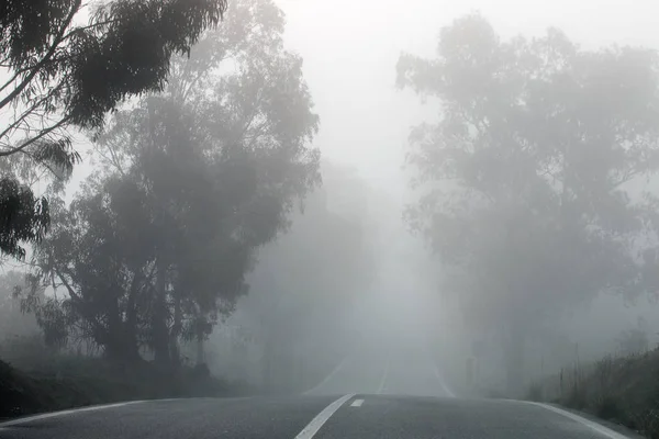 Long straight road in the fog — Stock Photo, Image