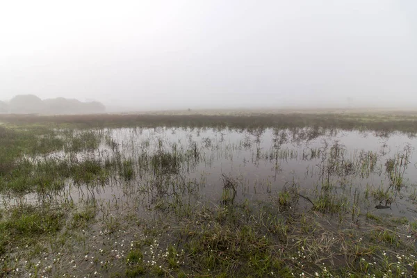 Vast land with rain ponds — Stock Photo, Image