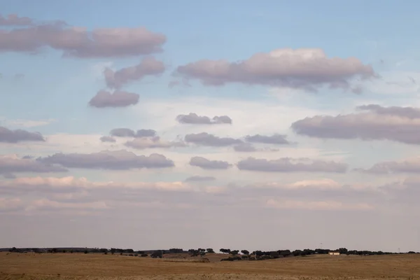 Dry arid landscape — Stock Photo, Image