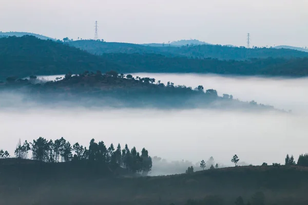 Zamlžené hory ráno — Stock fotografie