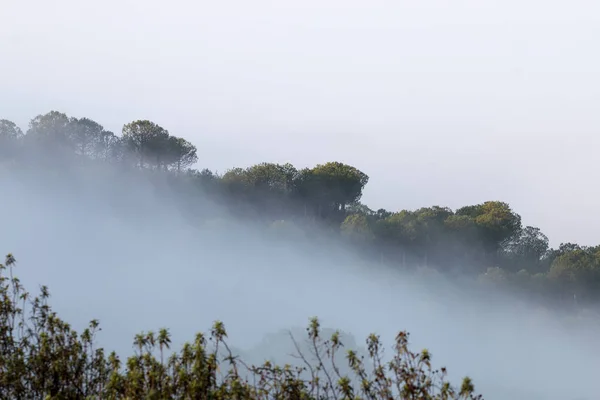 Ranní mlha na venkově — Stock fotografie