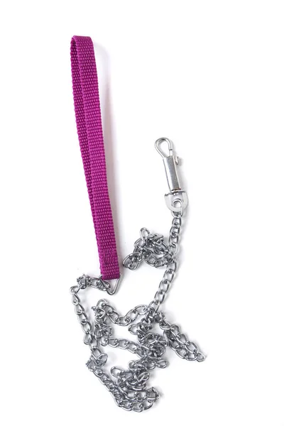 Dog chain object — Stock Photo, Image