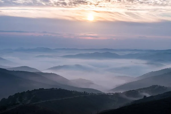 Zamlžené hory ráno — Stock fotografie