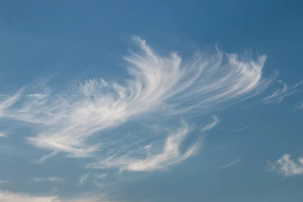 Cirrus nuages blancs — Photo