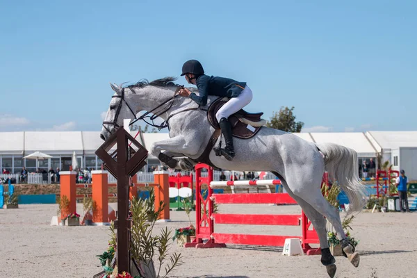 Paard obstakel springconcours — Stockfoto