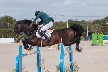 At binme yarışması