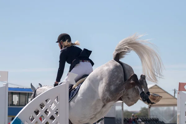 馬ジャンプ競技 — ストック写真