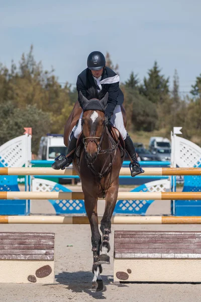 馬の障害競争をジャンプ — ストック写真
