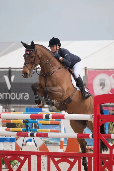 Cavalo obstáculo salto competição — Fotografia de Stock