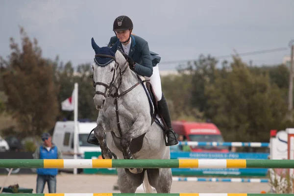 Paard obstakel springconcours — Stockfoto