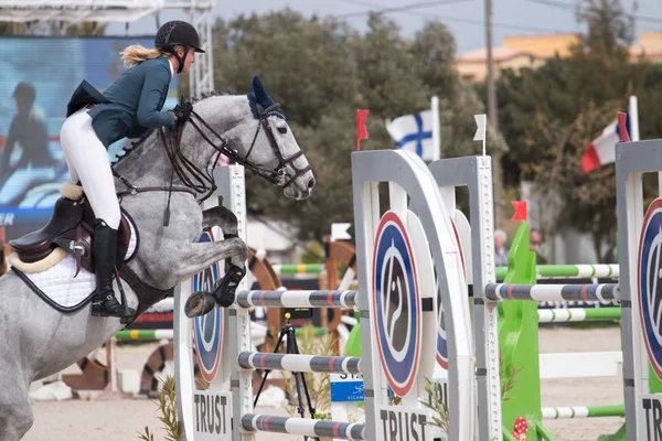 Paard obstakel springconcours — Stockfoto