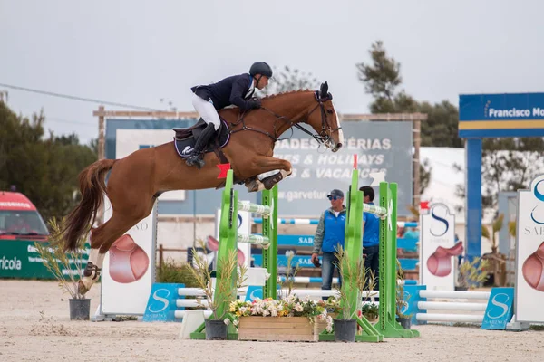 Paard obstakel springconcours — Stockfoto