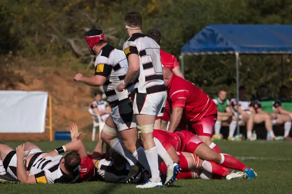 Rugby oyuncuları eylem — Stok fotoğraf