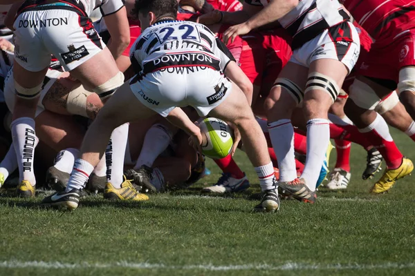 Rugby oyuncuları Algarve Rugby Festivali — Stok fotoğraf