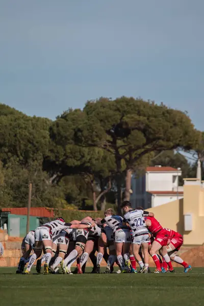 Rugby oyuncuları Algarve Rugby Festivali — Stok fotoğraf