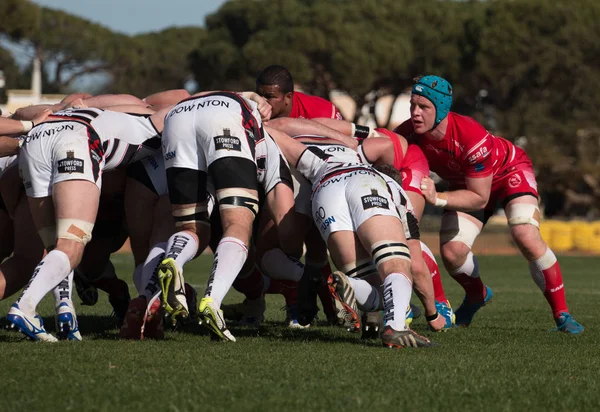 Rugby oyuncuları Algarve Rugby Festivali — Stok fotoğraf