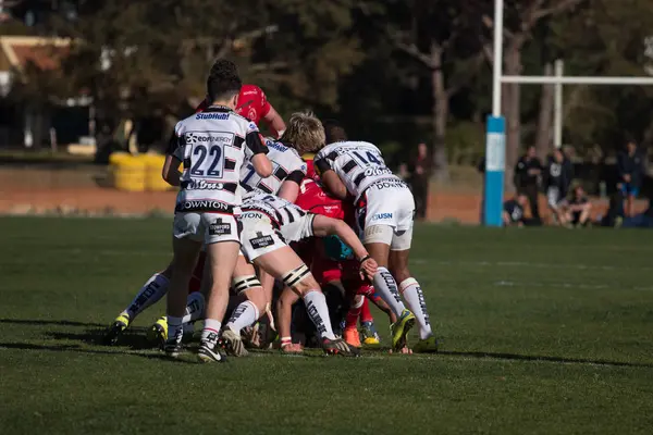 Rugbyspieler beim Algarve Rugby Festival — Stockfoto